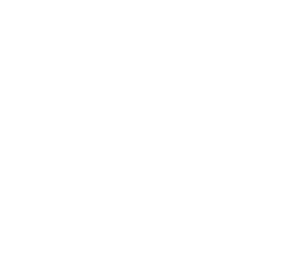 Simple image of an important-looking document